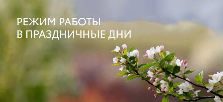 Изображение на странице Другое Тойота Центр Оренбург